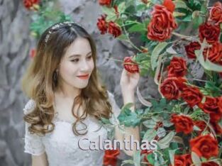 Calanthas