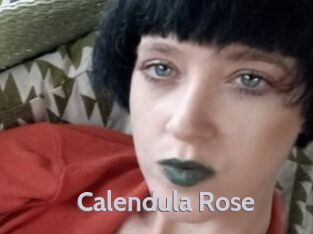 Calendula_Rose
