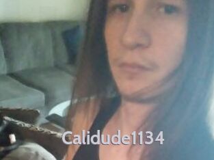 Calidude1134