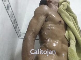 Calitojan Live Cam 66