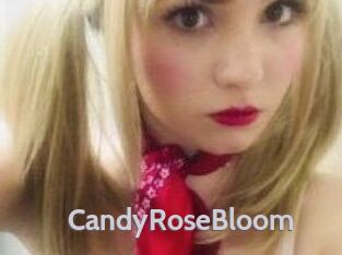 CandyRoseBloom