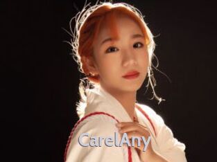 CarelAny Live Cam 66