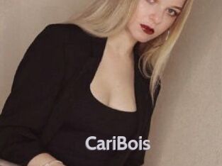 CariBois