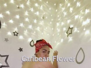 Caribean_Flower
