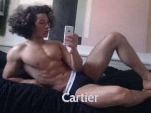 Cartier_ Live Cam 66