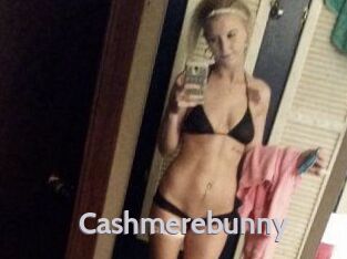 Cashmerebunny