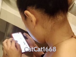 CatCat1668