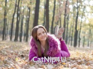 CatNip4U