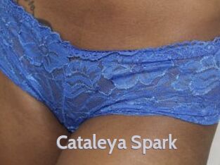 Cataleya_Spark