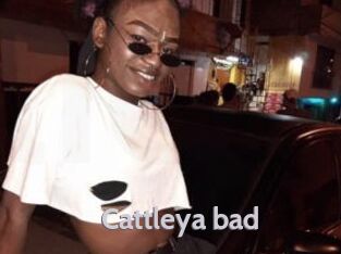 Cattleya_bad