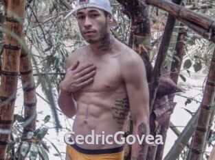 CedricGovea