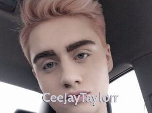 CeeJayTaylorr