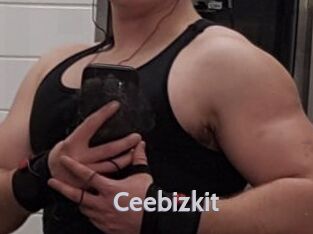 Ceebizkit