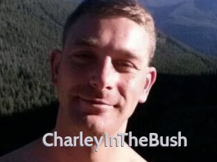 CharleyInTheBush