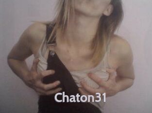 Chaton31