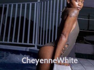 Cheyenne_White Live Cam 66
