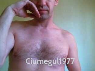 Ciumegul1977