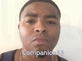 Companion33