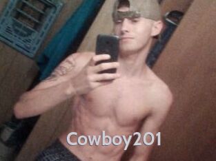 Cowboy201