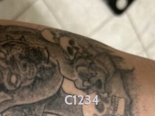 C1234