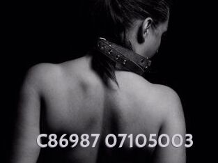 C86987-07105003