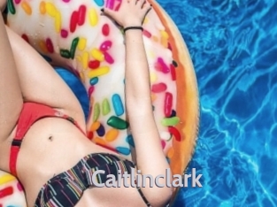 Caitlinclark