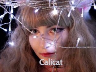 Calicat