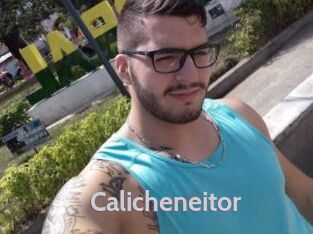 Calicheneitor