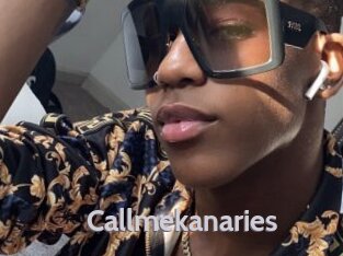 Callmekanaries