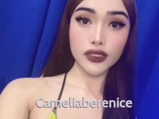 Cameliaberenice