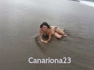 Canariona23