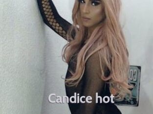 Candice_hot