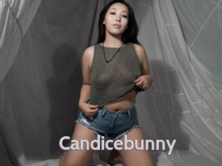 Candicebunny