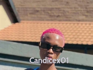 Candicex01