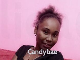 candybae Live Cam 66