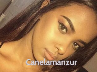 Canelamanzur