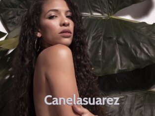 Canelasuarez