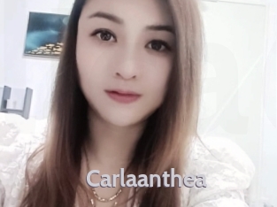 Carlaanthea