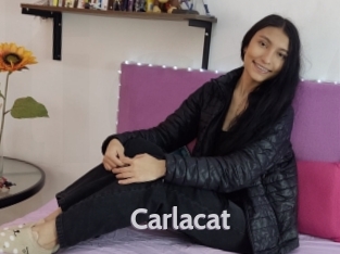 Carlacat
