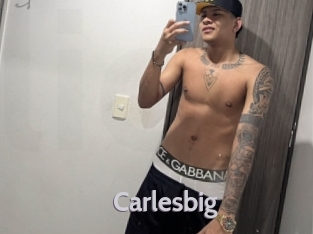 carlesbig Live Cam 66