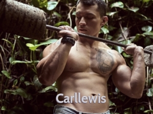 carllewis Live Cam 66