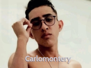 carlomontery Live Cam 66