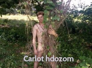 Carlot_hdozom