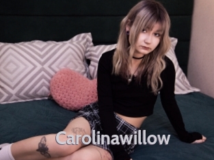 Carolinawillow