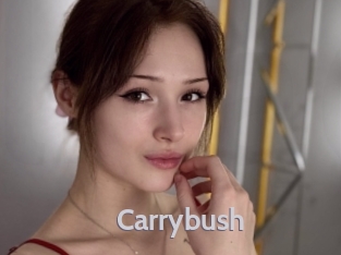 Carrybush