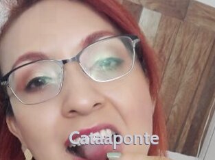 Cataaponte