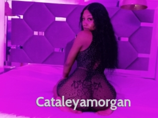 Cataleyamorgan