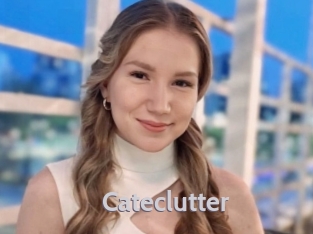 Cateclutter