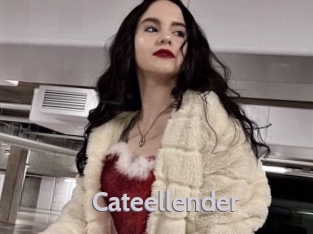 Cateellender
