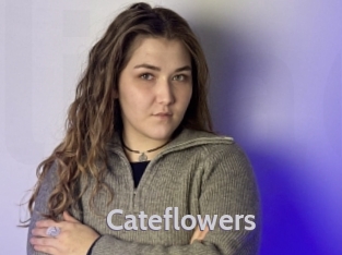 cateflowers Live Cam 66
